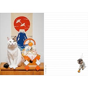ねこまる プロフ/商品説明欄必読 ネコまる 2025年夏秋号 vol.50 (タツミムック) | 辰巳出版 |本