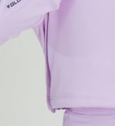 gldn pnt sweatshirt