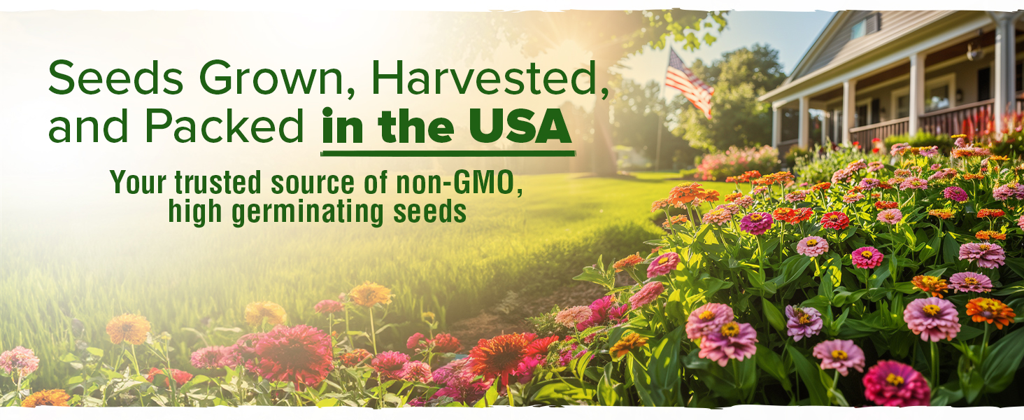 Large manufacture image 6