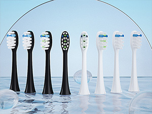 8 Pieces Fade in Color Bristle