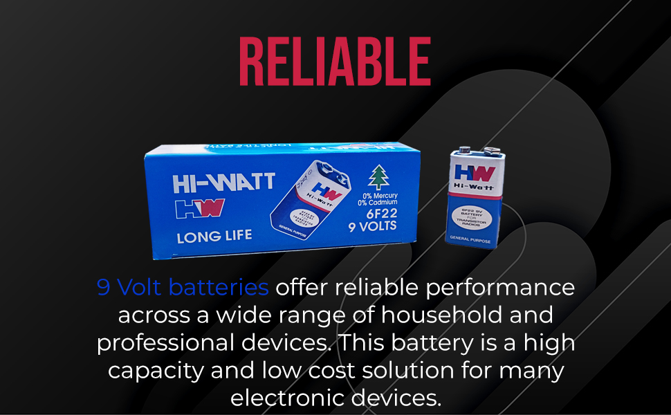 Vincentvolt General Purpose 9 Volts Battery