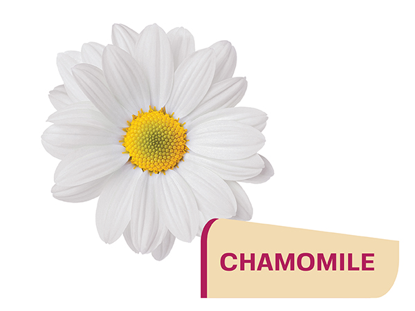  removing repair root rugosa safe salicylic saline salt sanitizing sensitive shown skin-healing