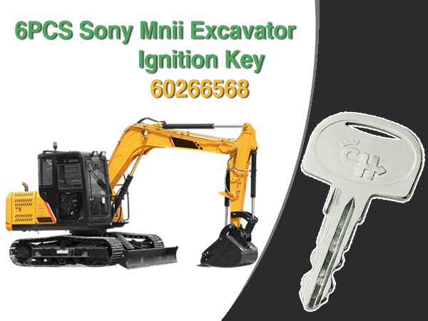 Amazon.com: 601 Ignition Keys 60266568 for Sany Mini