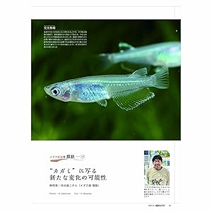 アクアライフ　まとめ売り covwe-al22-05-150x150.jpg