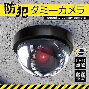 Amazon.co.jp: ドーム型 防犯 ダミーカメラ : 家電＆カメラ