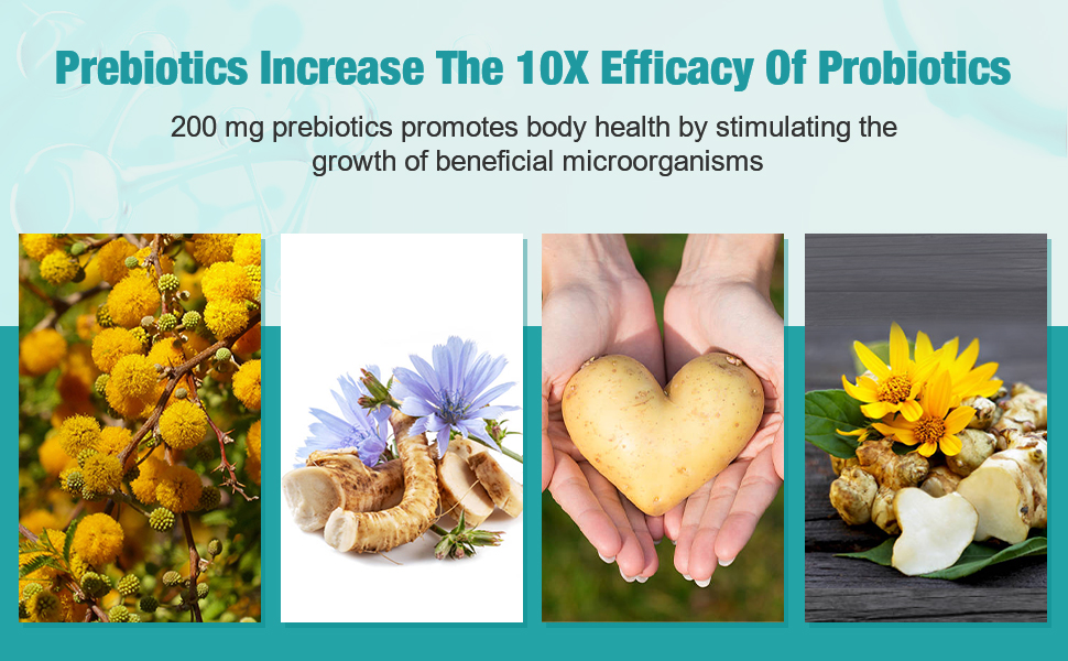 Fibra prebiótica orgánica