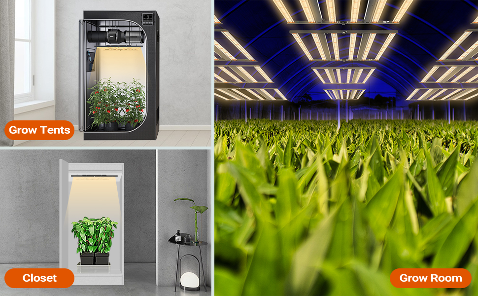 QUALS6600 LED Grow Lights 660W 5x5/4x4ft, Full Spectrum