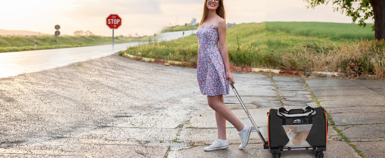 cat carrier with wheels