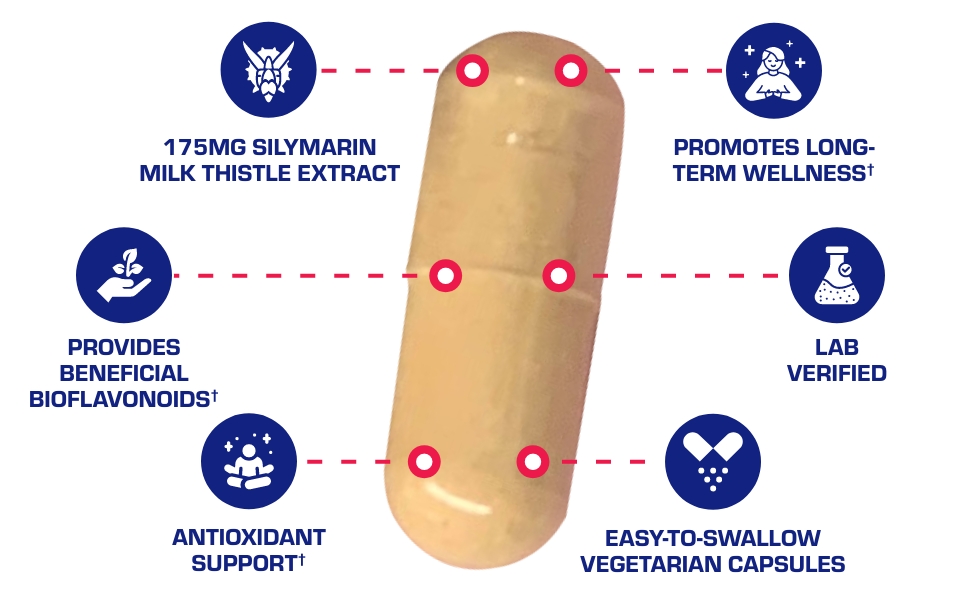 capsule and callouts