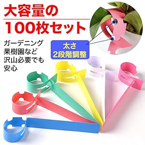 Amazon.co.jp: AllBright 園芸用ラベル ガーデニングラベル 植物