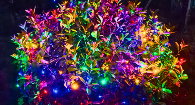 net lights A+