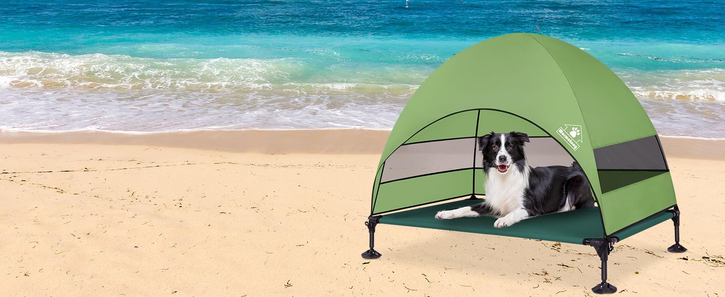 elevated dog bed with canopy for beach