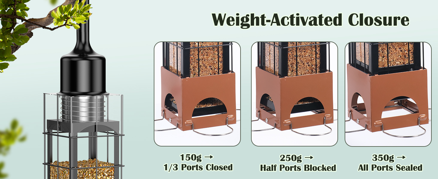 bird feeder squirrel proof