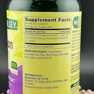 SPRING VALLEY CINNAMON 1000 MG