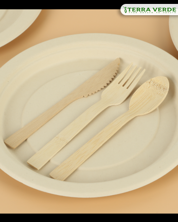 Plates and Spoons