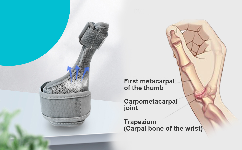 accubio finger support