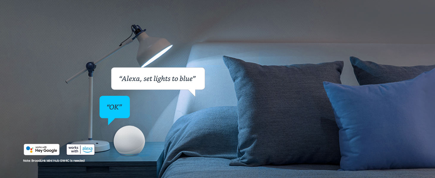 voice control
