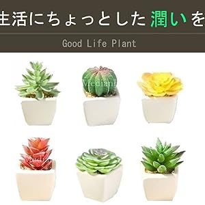 Amazon Medianfield ミニ サボテン 3個セット 2 多肉植物 寄せ植え フェイクグリーン リアル 造花 置物 人工観葉植物 インテリア 観葉 植物 植木鉢 おしゃれ 雑貨 人工 陶器 鉢 白 フェイク 緑 グリーン ギフト ミニサボテン 6個 人工観葉植物 オンライン通販