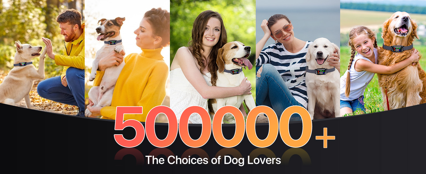 shock collar for dogs 40-60 lbs waterproof