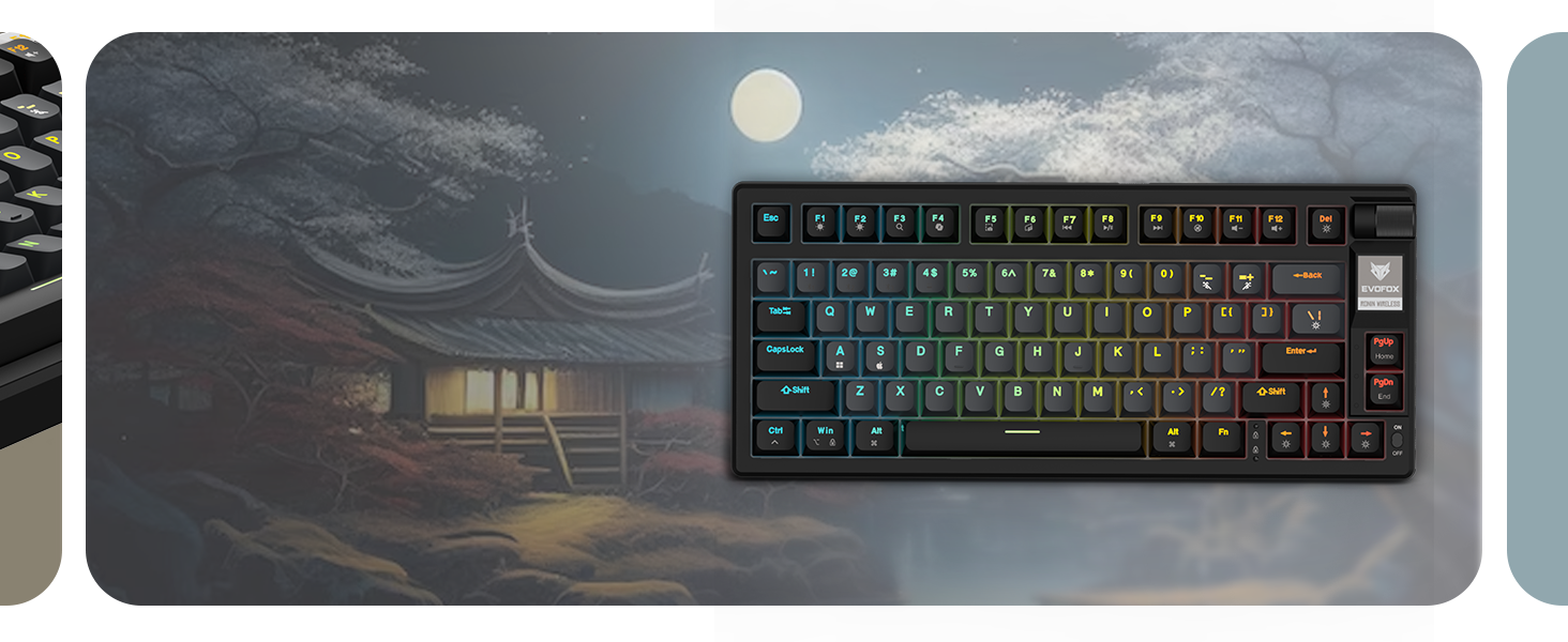 EvoFox Ronin Wireless TKL Mechanical Keyboard