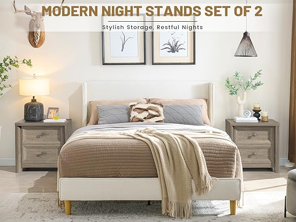 nanna樣 2つのセット Hayden 2 Drawer + 1 Shelf Nightstand, Matte Black Wood Veneer