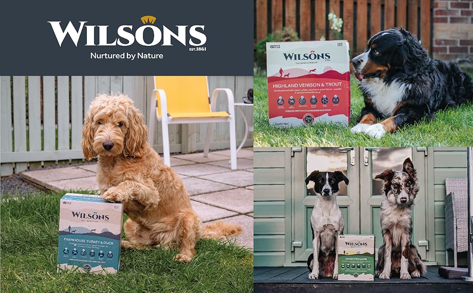 Wilsons Premium Cold Pressed Dry Dog Food, Hypoallergenic, Grain Free