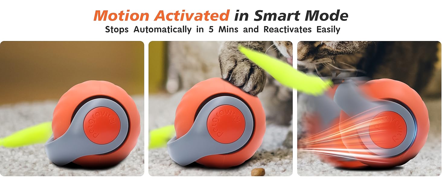 cat toys for bored indoor adult cats