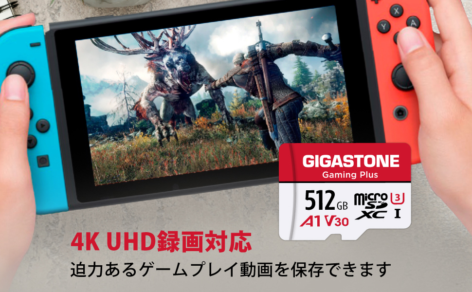 【512ギガSDカード付】Nintendo Switch Lite 本体 512ギガSDカード付】Nintendo Switch Lite 本体 512ギガSDカード
