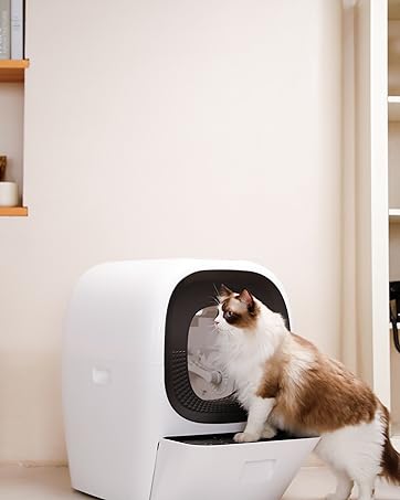 lalahome realscooper pro