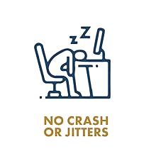 extract brew mushroom drink tea powder mix kit lion's mane turkey tail cordyceps turmeric