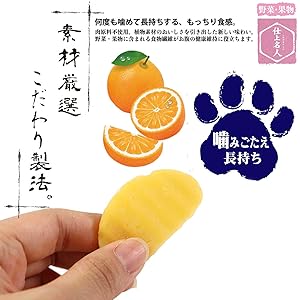 超美品トッズ　オープントゥパンブス　シャーベットオレンジ 超美品トッズ オープントゥパンブス シャーベットオレンジ