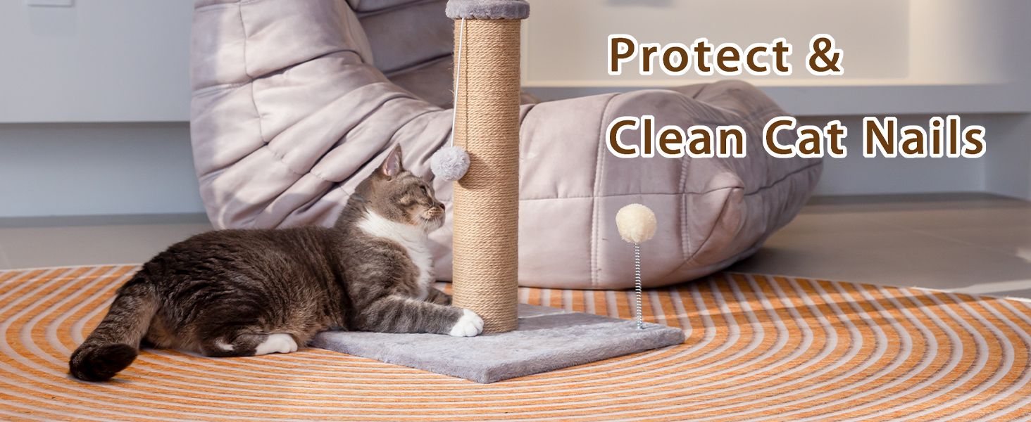 Protect &amp; Clean Nails