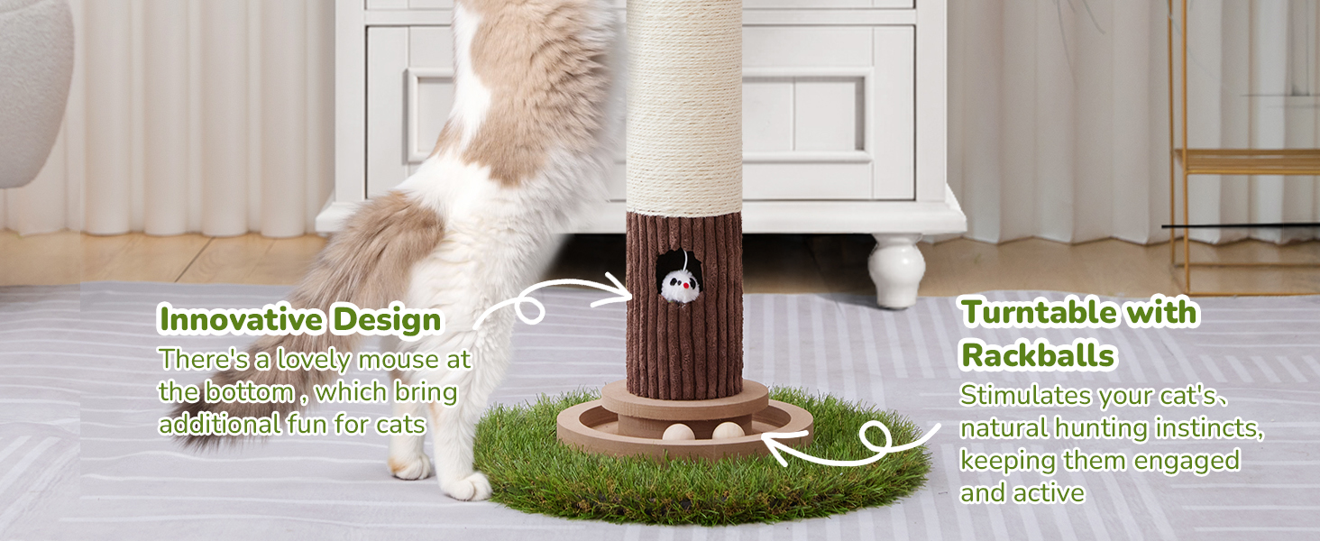 Scratcher Posts for Adults Cats