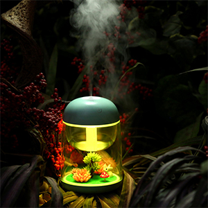 landscape humidifer 2