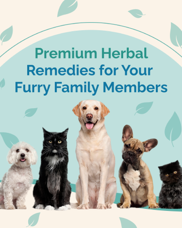 premium herbal remedies for dogs and cats