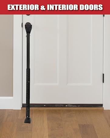 Front Door and window