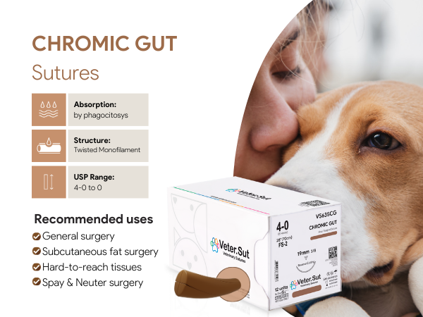 Amazon.com: Veterinary Sutures - VeterSut CHROMIC Gut