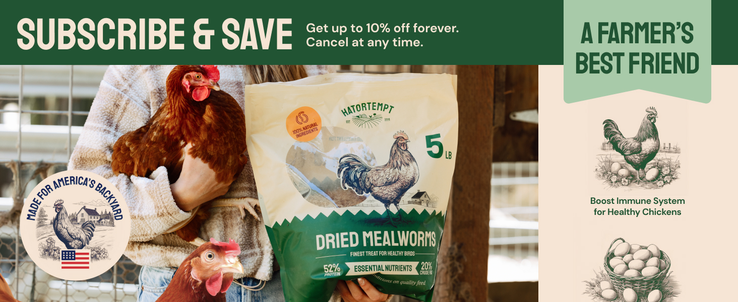 mealworms for chickens bulk cheap meal worms dried, for chickens mealworms for birds dried mealworms