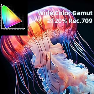 H2 apply 1920x1080p native resolution with wide color gamut