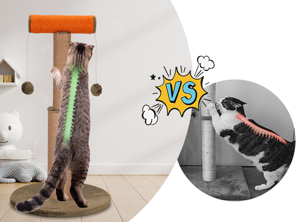 Amazon | SCHITEC 猫 爪研ぎ ポール 極太 爪とぎ 高さ75cm 天然
