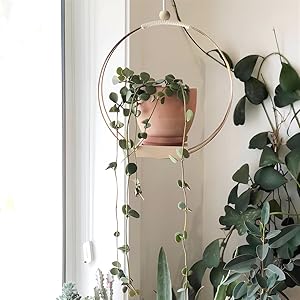 macrame plant holder