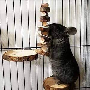 Small Animal Chews Toy Natural Apple Wood Block Cage Hanging Molars Treats Hamsters Rabbits Bunny