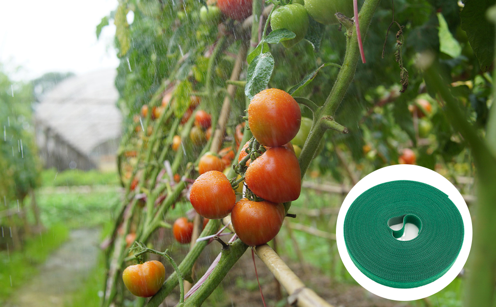 Plant Ties Garden Ties Tomato Ties