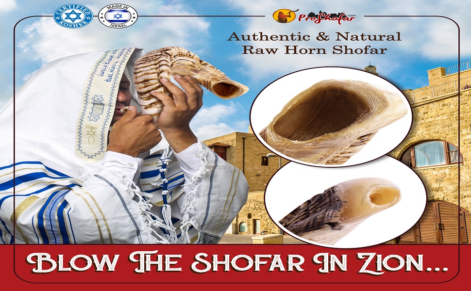 Natural Jericho Shofar Set From Israel Natural Traditional Ancient Musical