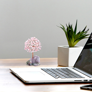 crystals stones feng shui money tree home decor gifts 