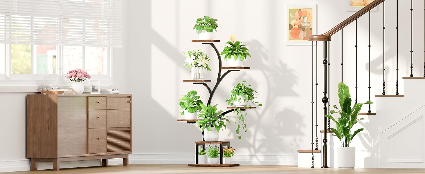 plant shelf indoor