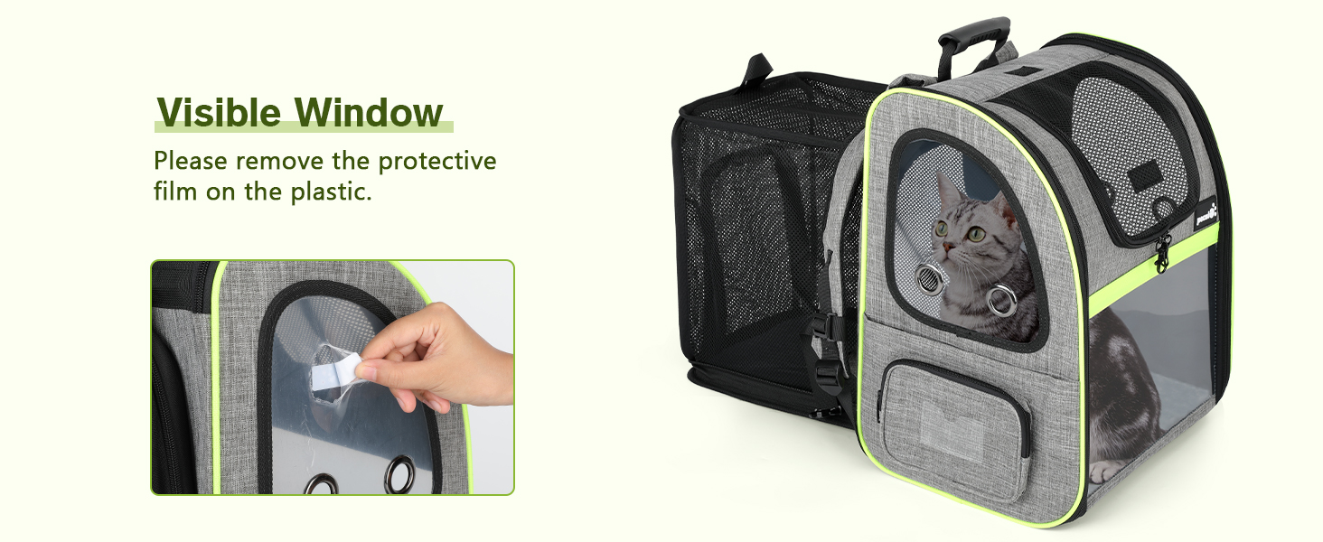 cat carrying backpack