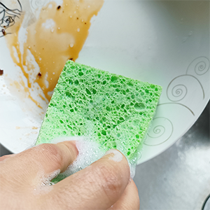 Kitchen Dishes Sponge