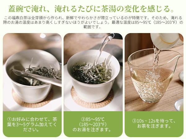 白茶 白毫銀針 中国茶 白茶 - Sazen Tea