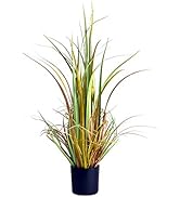 Ultra Realistic Faux Grass House Plant, Black Pot, Thick and Bushy, Highly Detailed, Colored, Cur...